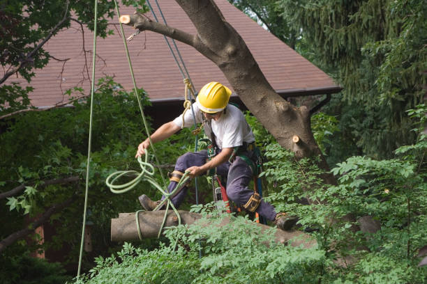 Best Soil Testing and Treatment  in Newport, KY